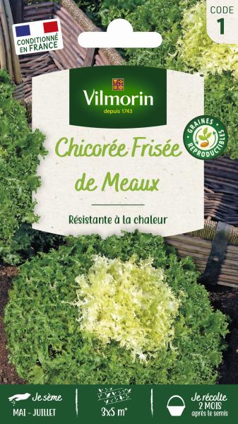 Potagères - Chicorée Frisée de Meaux - PACKAGING_RECTO